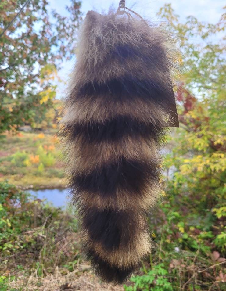 Real Raccoon Tail Key Chain – 2oz Fur Hide, Craft Fly Tying, Beaver Pelt Alternative, Fox Lynx Rabbit