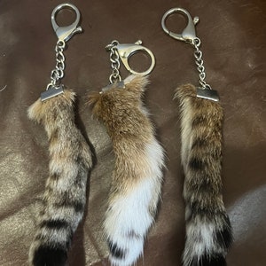 Bobcat Tail Keychain, Bobcat Tail, Tail Keychain