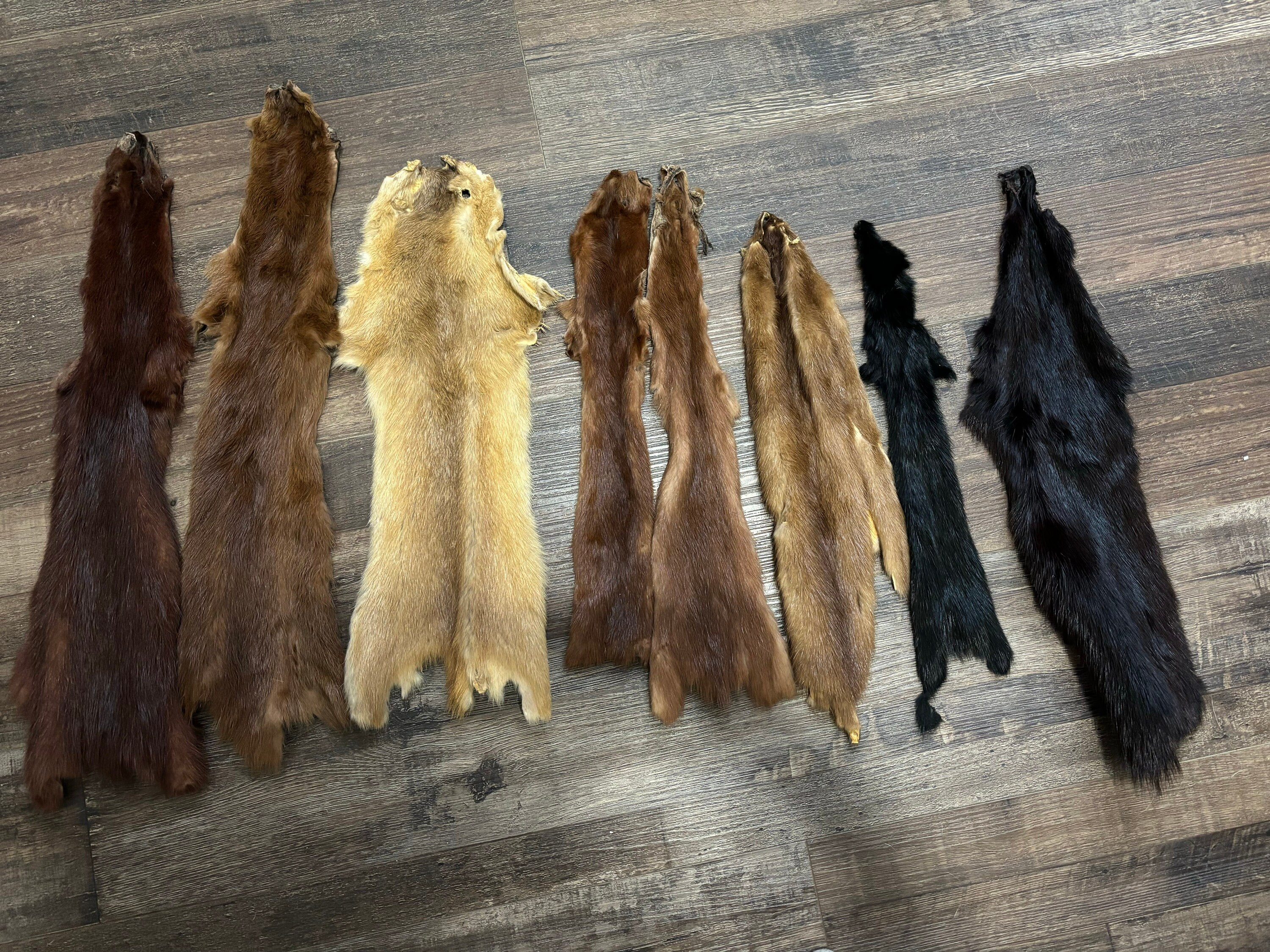 Kolinsky fur shop stole