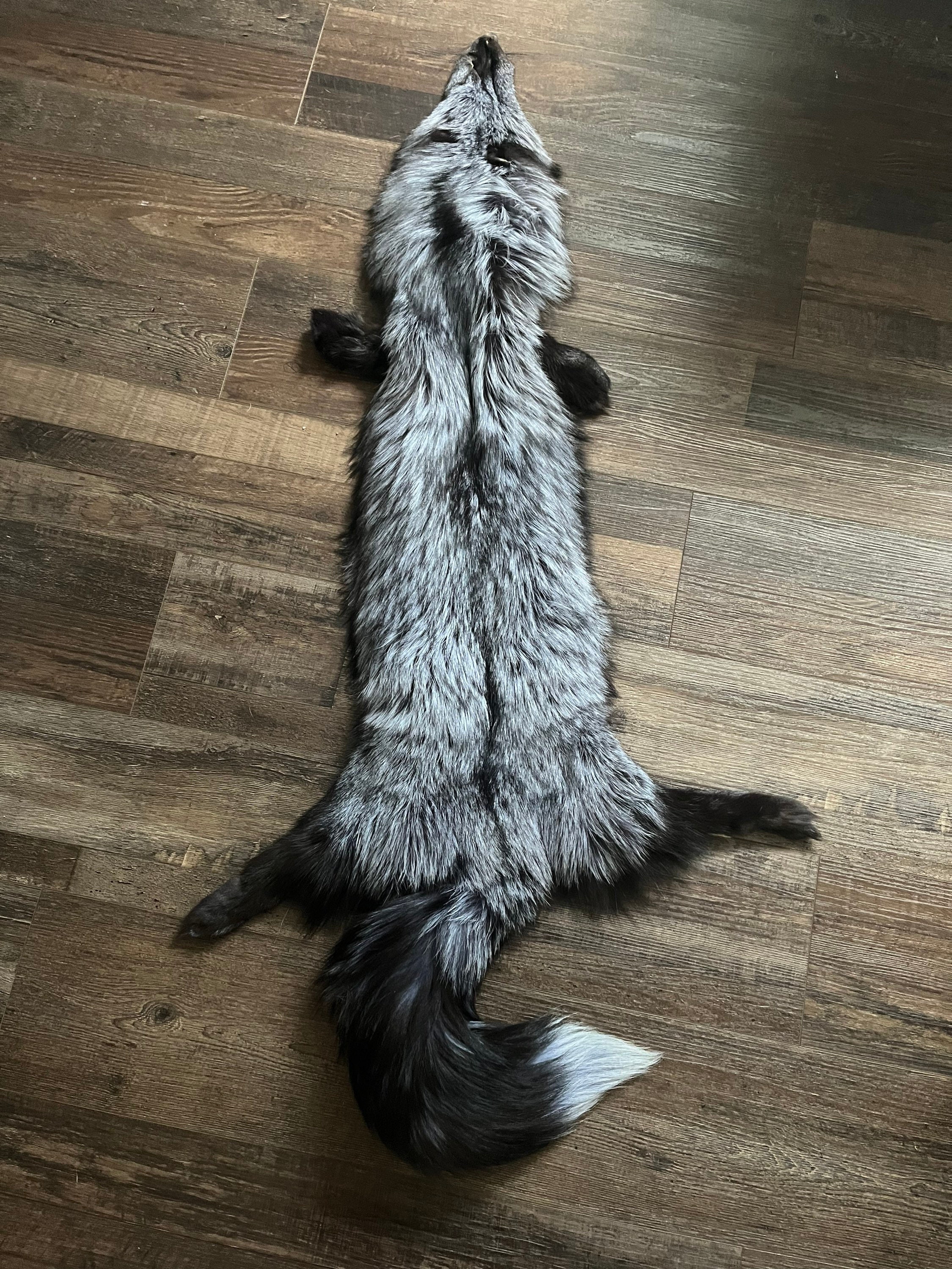 Silver Fox WHISKY シルバーフォックスウヰスキー ３本セット Amazon.com: The Petting Zoo Silver Fox Stuffed Animal Plushie