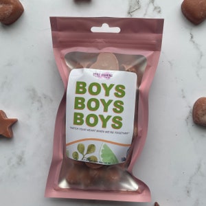 Boys Boys Boys Inspired Soy Wax Melts