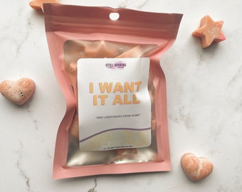 Arctic Monkeys “I Want It All” AM Era Inspired Soy Wax Melts