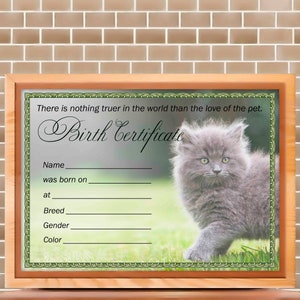 Kitten Birth Certificate Digital Download Pet Cat Birth | Etsy