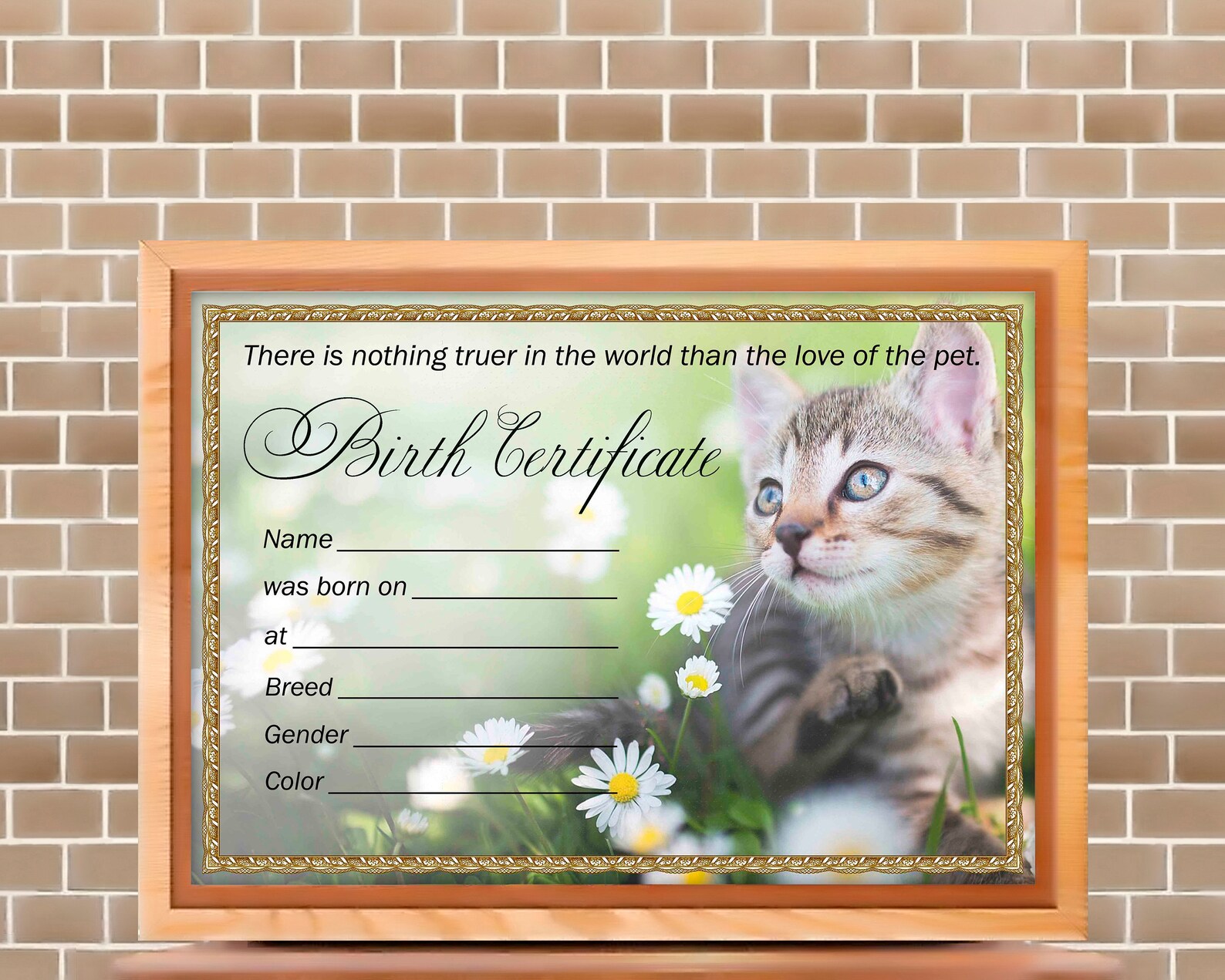 kitten-birth-certificate-digital-download-pet-cat-birth-etsy