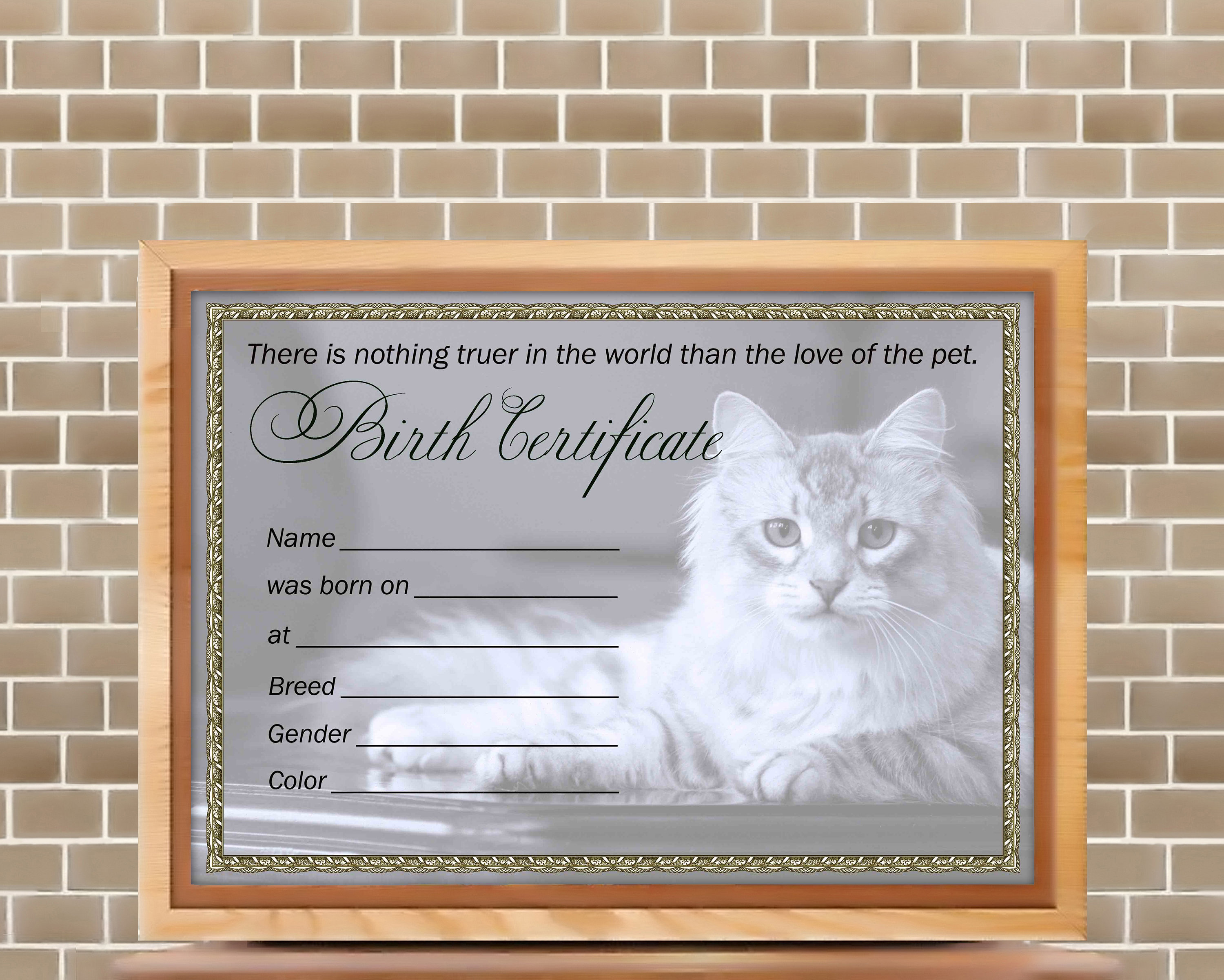 Kitten Birth Certificate Digital Download Pet Cat Birth Etsy