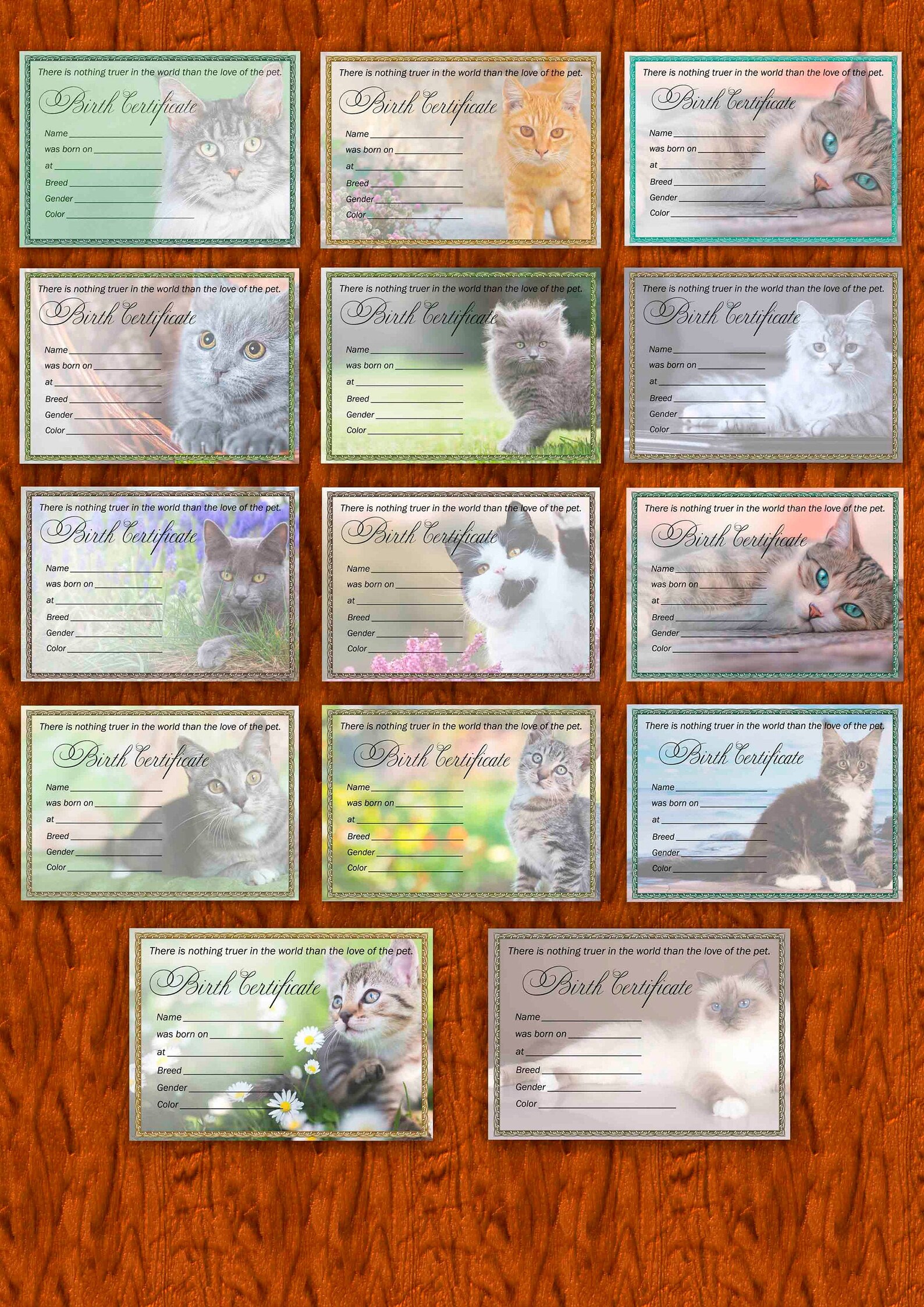 14 PRINTABLE Cat Birth Certificates Gift Cat Birth | Etsy