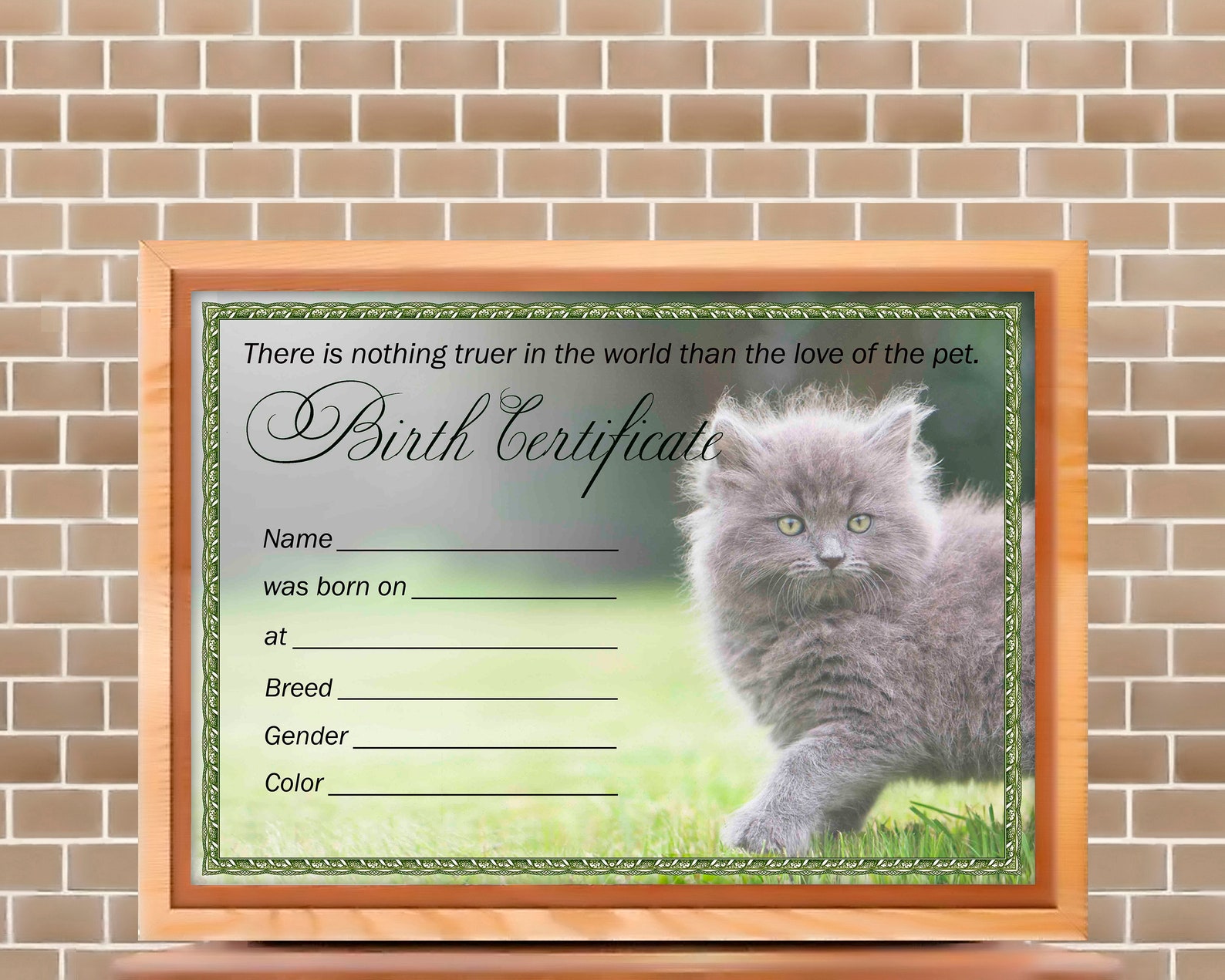 14-printable-cat-birth-certificates-gift-cat-birth-etsy