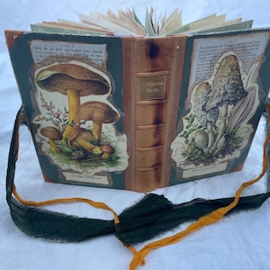 Könnte beinhalten: Ein gebundenes Buch mit dunkelgrünem Einband, botanischen Pilzillustrationen auf beiden Seiten und einem braunen Buchrücken. Die Vorderseite zeigt Text auf Französisch und Latein, darunter "Suillus luteus". Ein dunkelgrünes und orangefarbenes Band ist befestigt.