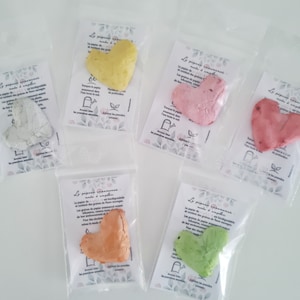 Klein kleurrijk hart om te planten (3*3cm) / gezaaid | Ideaal voor bruiloften, doopfeesten, gastgeschenken, klanten...