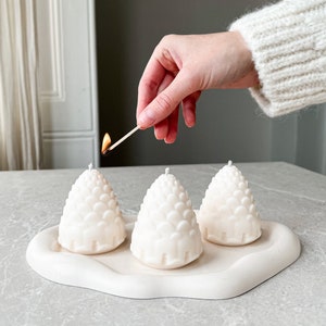 Christmas Pine Cones Candle Gift Home Decor Christmas Candle Gift for Family Soy Pine Cones Candle Gift for Friend  Candle Gift Set