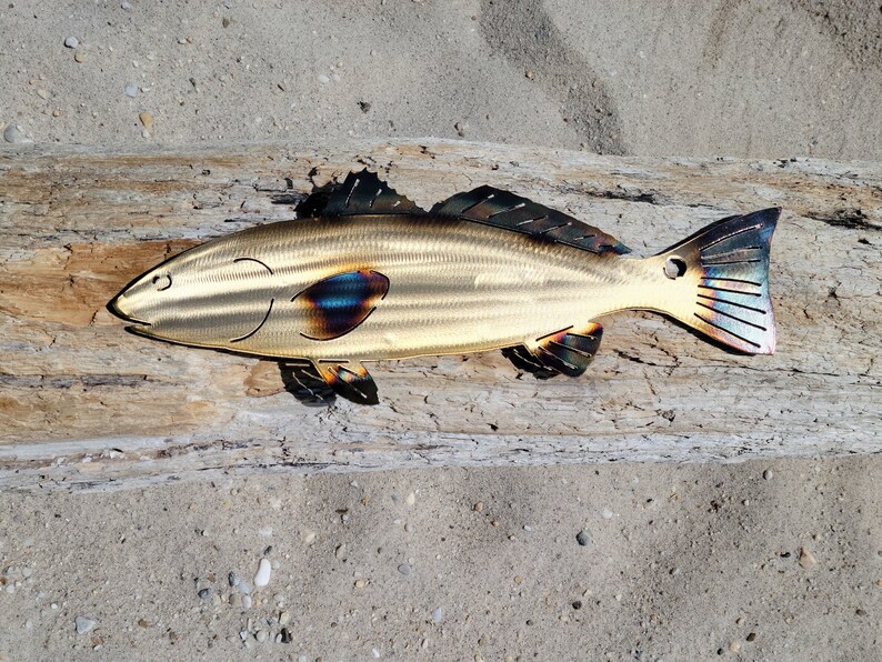 Red Drum Wall Art redfish FREE SHIPPING Etsy