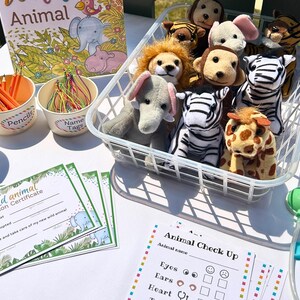 May include: A white wire basket filled with stuffed animal toys, including a lion, zebra, giraffe, monkey, and elephant. There are also adoption certificates, pencils, and a name tag on the table.