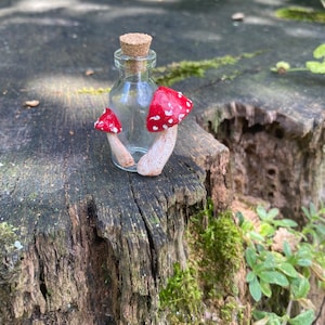 Fungo Mini Vetro Sughero Vaso da Farmacia