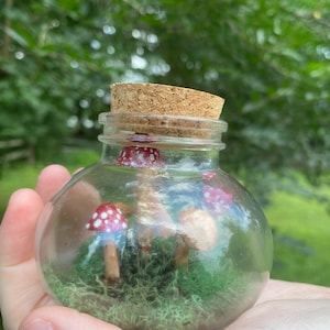 Mini Mushroom and Moss Terrarium