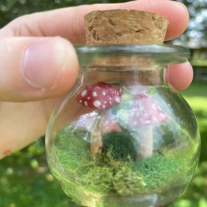 Mini Mushroom and Moss Terrarium