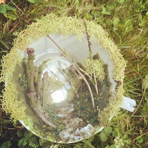Magical Forest in a Teacup Bookshelf Decor