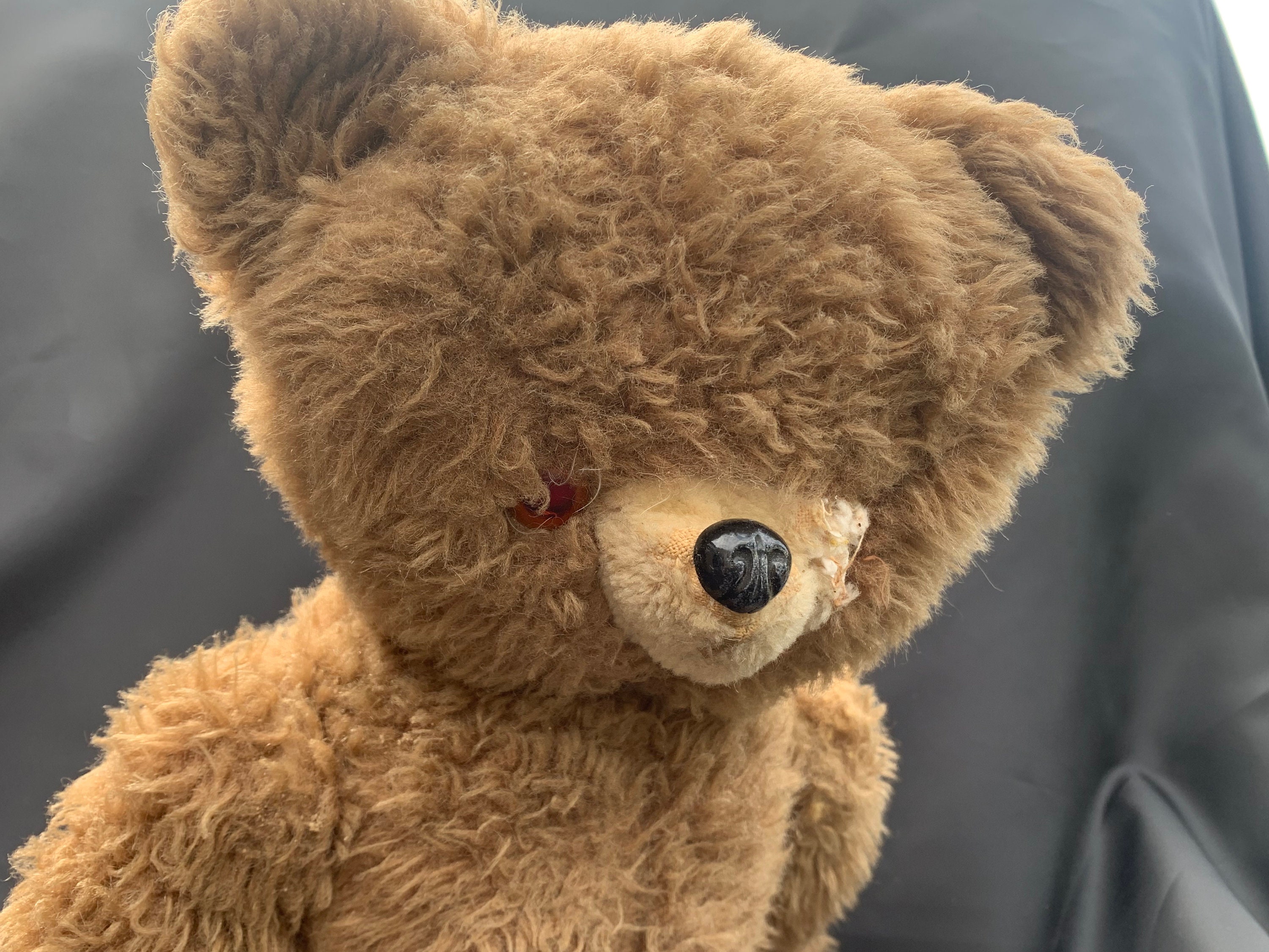 Large 42 Cm (16.7 Inch) Antique Bear With One Eye - Etsy