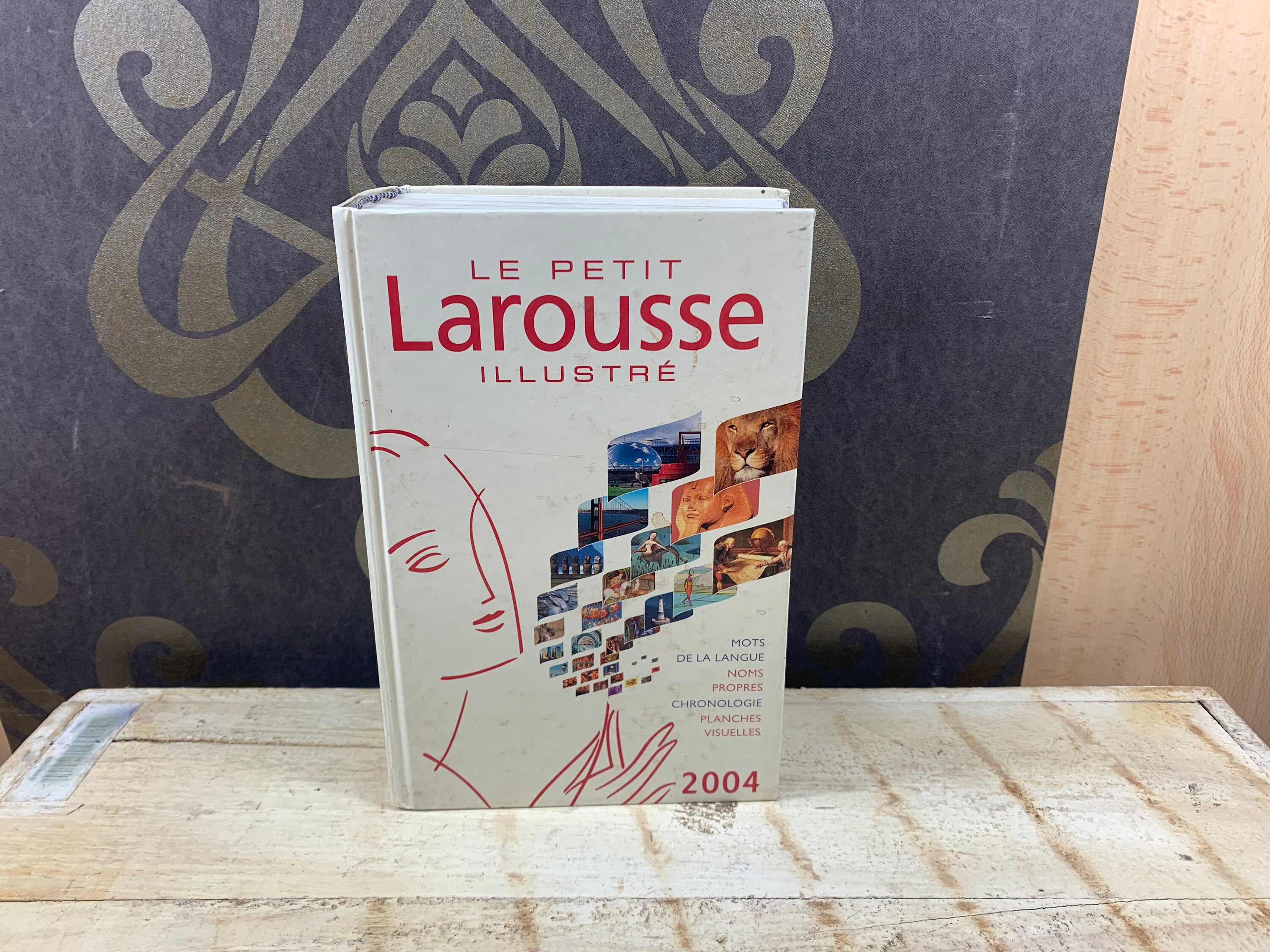 Le Petit Larousse Iilustré 2004 - Etsy Canada