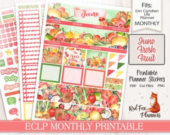 Puede incluir: Pegatinas imprimibles para planificador con una ilustración de acuarela de fruta fresca, incluyendo sandía, piña, fresas y cocos. Las pegatinas están diseñadas para los planificadores Erin Condren Life y están etiquetadas como "June Fresh Fruit".