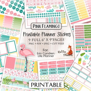 PINK FLAMINGO Erin Condren Printable Planner Sticker Kit, tropical, island, vacation, birds, water reeds, cattails, coctails, umbrella, pond