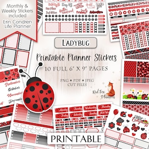 LADYBUG Kit adesivi pianificatore stampabile Erin Condren, coccinelle, coccinelle, insetti, insetti, primavera, primavera, natura, picnic, rosso e nero