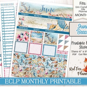 June Beach Erin Condren (ECLP) Monthly Printable Planner Stickers, arena, playa tropical, conchas marinas, olas del océano, conchas marinas, cangrejo, langosta