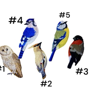 Toppa Con Uccello Gufo, Singola O In Set, Ricamata Con Ferro Da - Foto 5