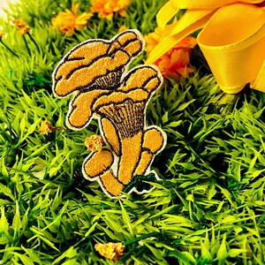 Könnte beinhalten: Gestickter Aufnäher mit zwei gelben Pilzen mit schwarzen Details. Der Aufnäher befindet sich vor einem Hintergrund aus grünem Gras, kleinen orangefarbenen Blumen und einem gelben Band.