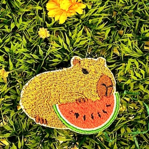 capibara Patch
