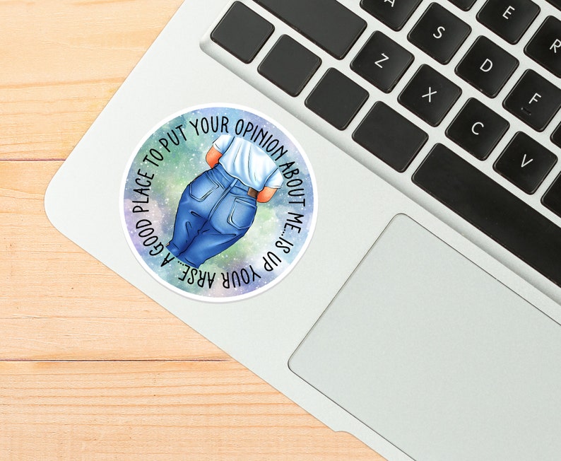 A good place to put your opinion of me...is up your arse.... funny, sassy, sweary, badass, bitchy, girlboss sticker image 3