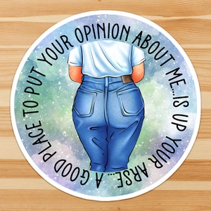 A good place to put your opinion of me...is up your arse.... funny, sassy, sweary, badass, bitchy, girlboss sticker image 1