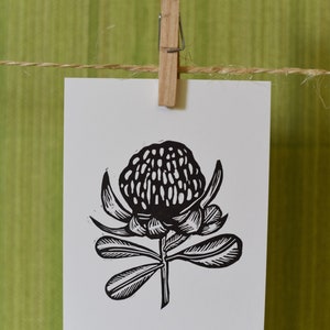 Australie - Waratah/Telopea : Impression de carte postale en linoléum