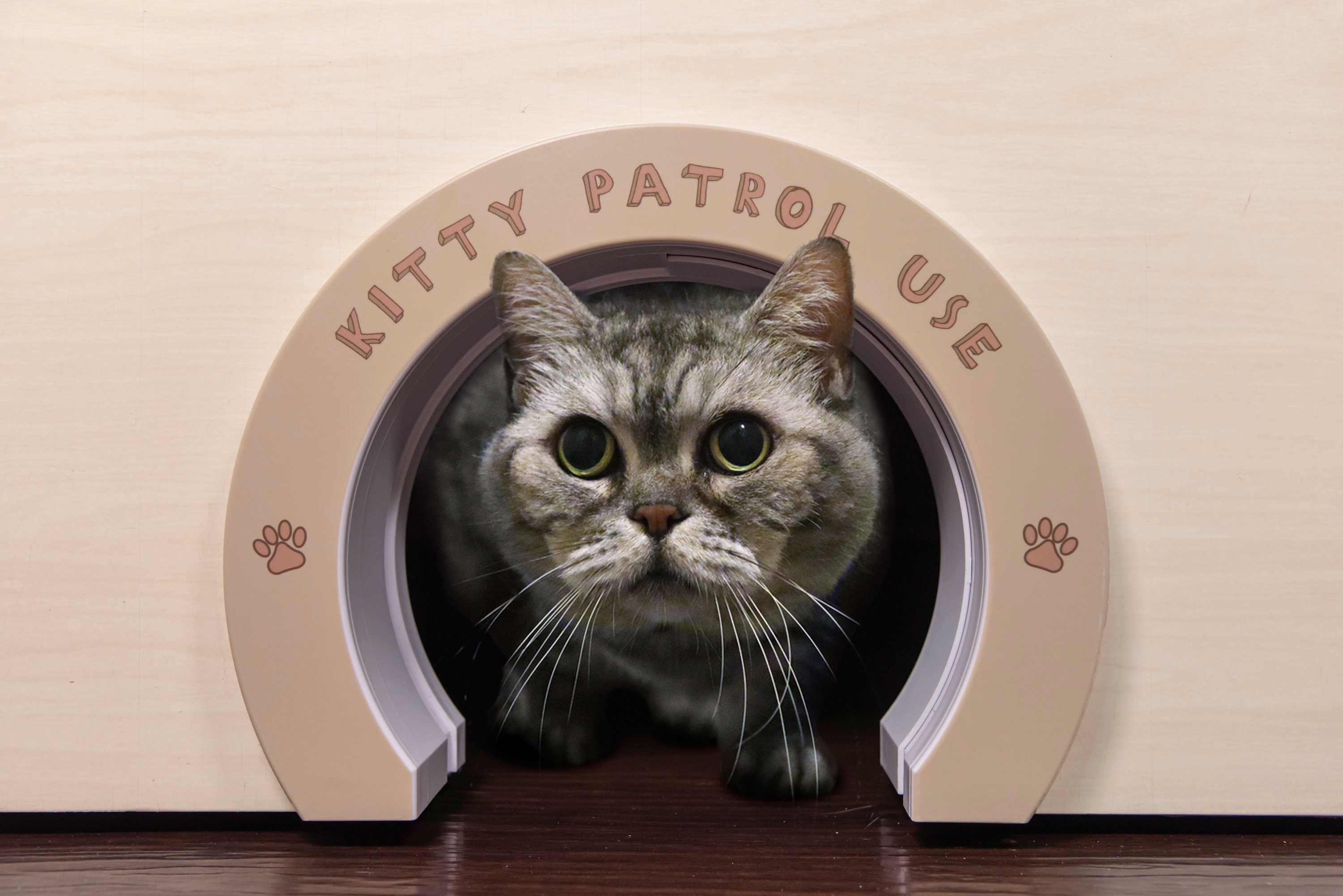 kitty cat door