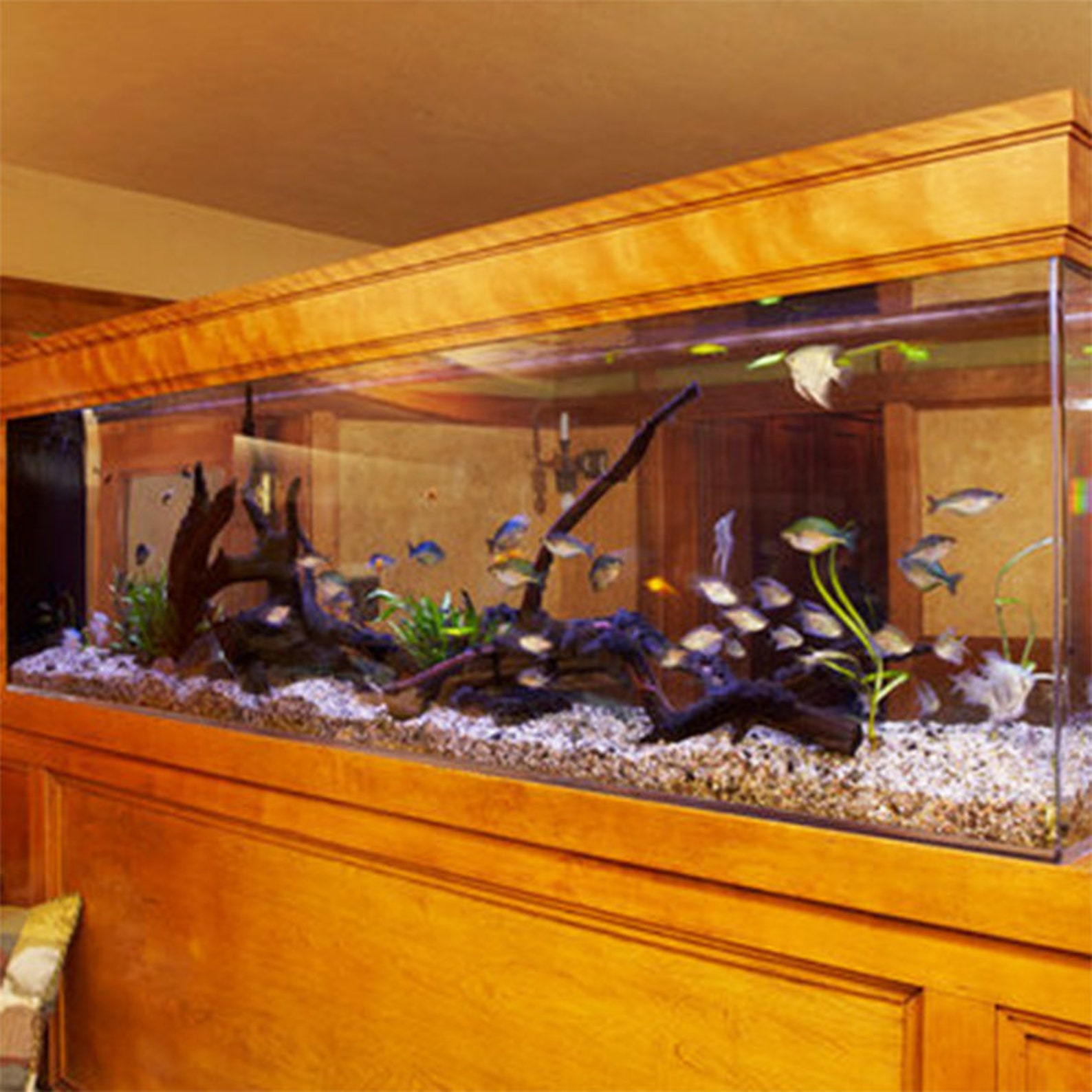Handmade Personalized Unique Mahogany Wood Lighted Fish Tank Roof for