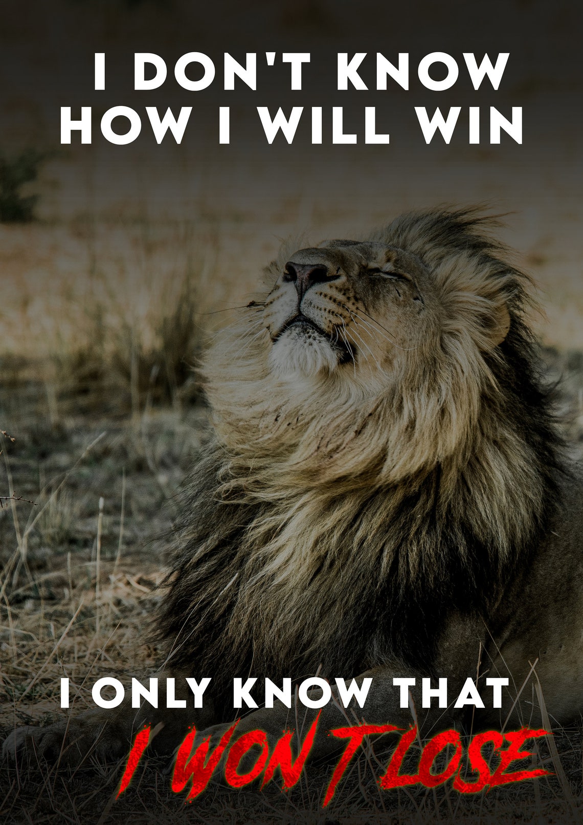 Lion motivational canvas Printable Lion Inspirational Art Etsy