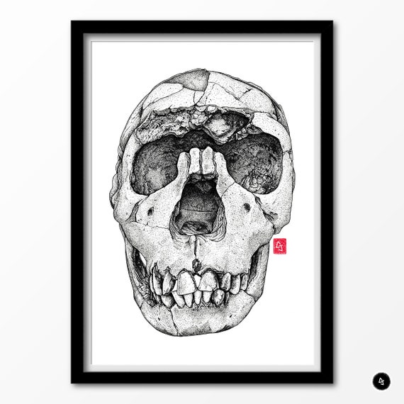 特撮 Homo academicus Homo ergaster pelvis assembly - KNM-WT 15000 - Bone Clones