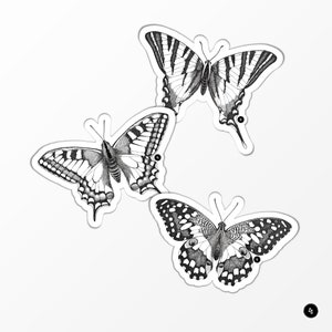 Lépidoptères - Papillons - Lot de 3 Stickers