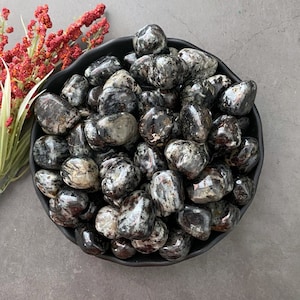 Astrophyllite Tumbled Stones | Polished Astrophyllite Crystals | Shop Metaphysical Crystals and Stones for Crown, Third Eye, Root Chakras