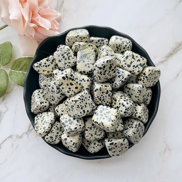 Dalmatian Jasper Tumbled Stones | Polished Tumbled Dalmatian Crystal Gemstones | Shop Metaphysical Crystals and Stones