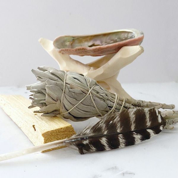 Mini Smudge Beginner Kit, Beginners Smudge Kit, Sage Smudge Kit, 5 Pc White Sage Smudge Torch Kit with Palo Santo, Feather, Shell