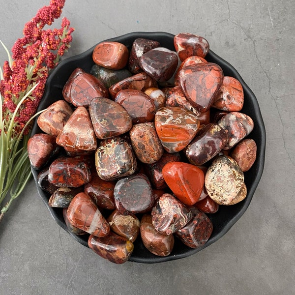 Brecciated Jasper Tumbled Stones | Polished Poppy Jasper Crystal Gemstones | Shop Red Metaphysical Crystals for Root Chakra