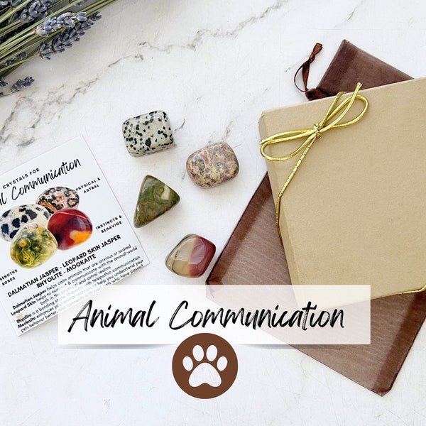 Animal Communication Crystal Kit | Crystals for Pets, Dogs, Cats | Pet Crystal Set | Shop Metaphyscial Crystals for Pets and Animals