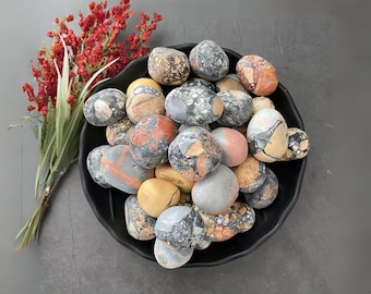 Maligano Jasper Tumbled Stones | Polished Maligano Jasper Crystal Gemstones | Shop Metaphysical Crystals