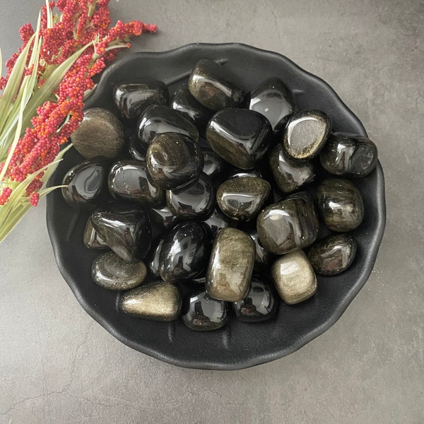 Gold Sheen Obsidian Tumbled Stones | Polished Goldsheen Obsidian Crystals | Golden Obsidian | Shop Metaphysical Crystals for Root Chakra