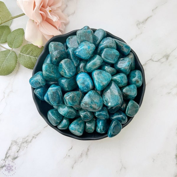 Blue Apatite Tumbled Stones | Polished Blue Apatite Crystal Gemstones | Shop Metaphysical Crystals for Third Eye, Throat Chakra