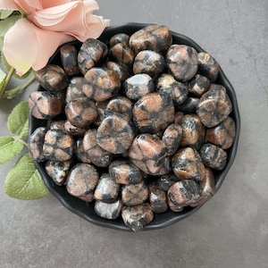 May include: A bowl filled with tumbled black and brown starburst stones. The stones are smooth and polished, with a star-shaped pattern on each one.