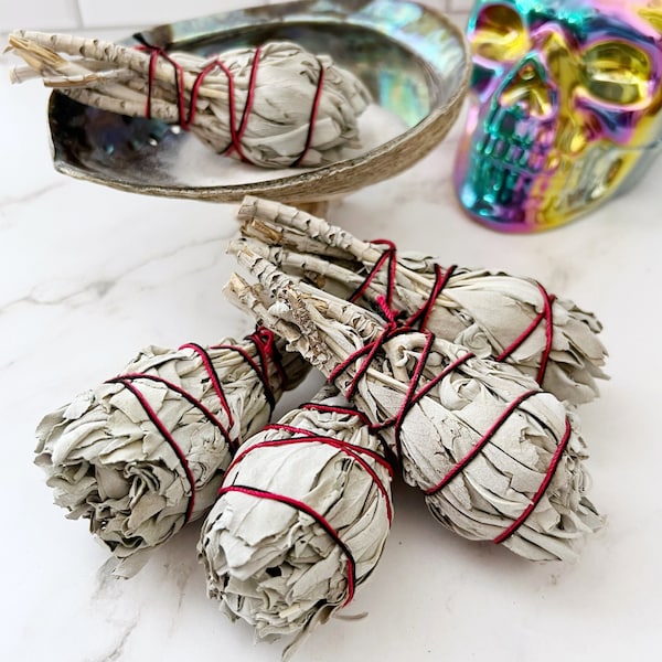 Organic White Sage Torch Smudge Stick, 4" White Sage Bundle, Smudging Tool for Rituals, Home Blessing, Positive Vibes, Removes Negativity