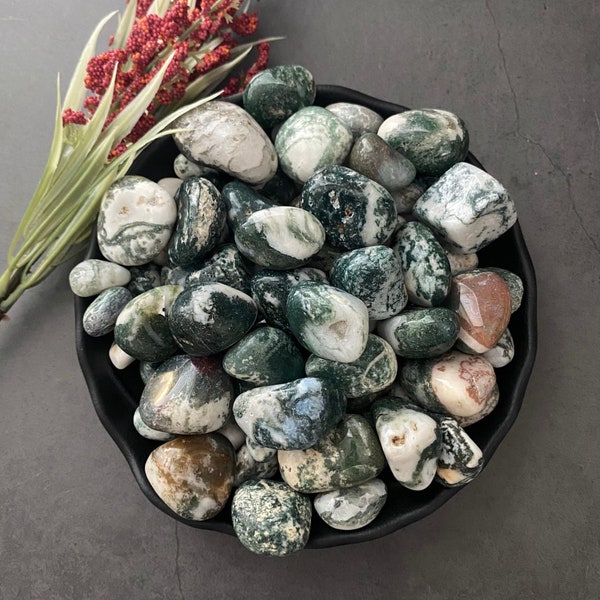 Tree Agate Tumbled Stones | Polished Tree Agate Crystal Gemstones | Shop Green Metaphysical Crystals for Heart Chakra, Earth Energy