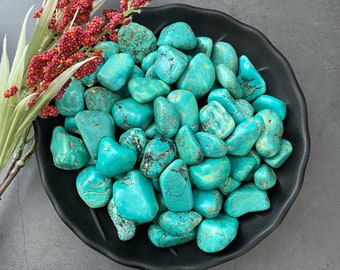 Turquoise Howlite Tumbled Stones | Polished Turquoise Howlite Gemstones | Shop Metaphysical Crystals for Throat Chakra