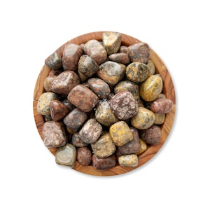 Leopard Skin Jasper Tumbled Stones | Polished Leopard Skin Jasper Crystal Gemstones | Jaguar Stone | Shop Metaphysical Crystals Root Chakra